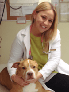 Dr. Frances Kaminski, New York Veterinarian