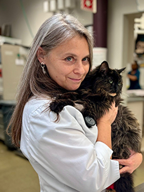 Dr. Jean Ferreri, New York Veterinarian